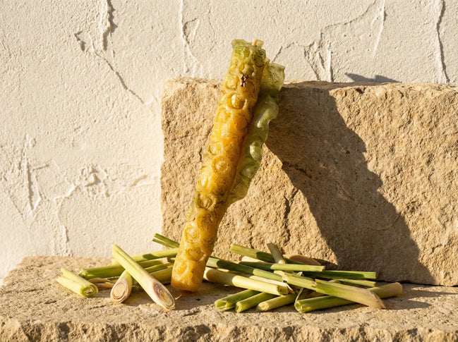 Bougie Artisanale Citronnelle - Vitalité & Protection - Essences Agape 6191603