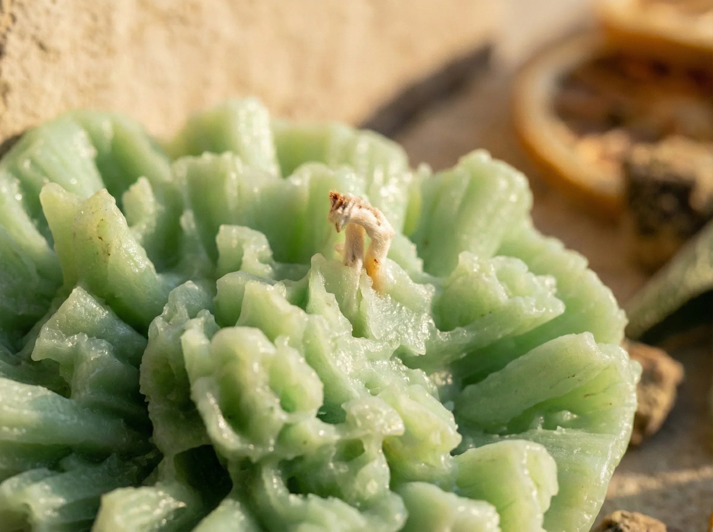 Bougie Artisanale Naturelle Citron & Sauge - Chakra Nettoyage - Essences Agape 4815863