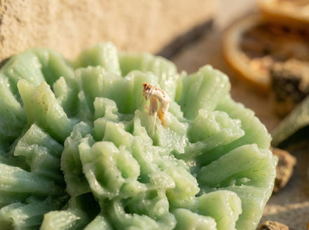 Bougie Artisanale Naturelle Citron & Sauge - Chakra Nettoyage - Essences Agape 4815863