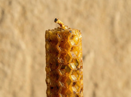 Bougie Artisanale Palo Santo - Purification & Harmonie Intérieure - Essences Agape 61527575