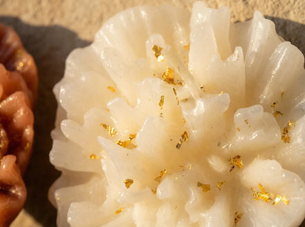 Bougie Artisanale Palo Santo & musc - Ancrage & Protection - Essences Agape 7103582