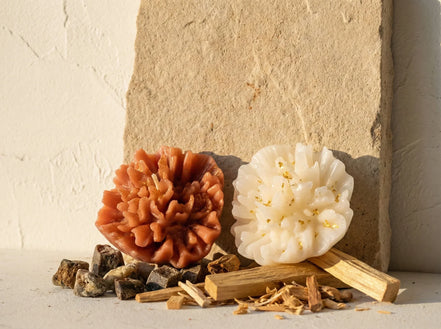 Bougie Artisanale Palo Santo & musc - Ancrage & Protection - Essences Agape 4880372