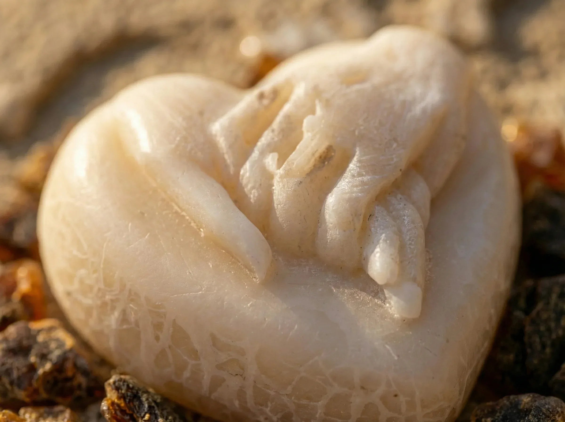 Bougie Cœur Musc Raffiné - Douceur & Cocooning Sacré - Essences Agape 29349491