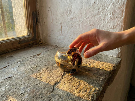 Bougie Gel Bio Citron & Or - Vitalité & Rayonnement - Essences Agape 96967365