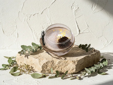 Bougie Gel Bio Eucalyptus - Purification & Clarté Mentale - Essences Agape 2483900