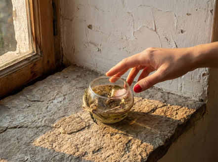 Bougie Gel Cèdre Boisé - Calme & Force de la Forêt - Essences Agape 4712724