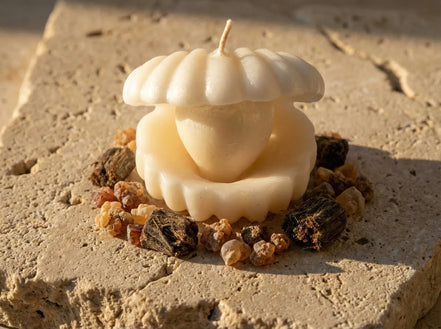 Bougie Huître Myrrhe & Musc - Sagesse & Secret Ésotérique - Essences Agape 70640343