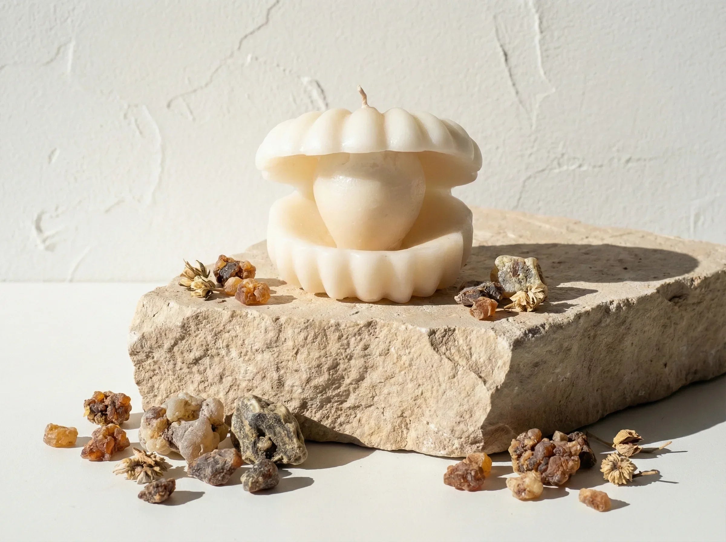 Bougie Huître Myrrhe & Musc - Sagesse & Secret Ésotérique - Essences Agape 50396461