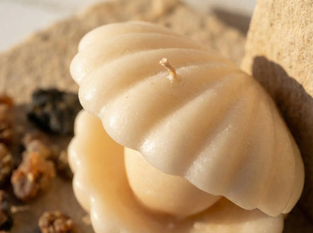 Bougie Huître Myrrhe & Musc - Sagesse & Secret Ésotérique - Essences Agape 30963474