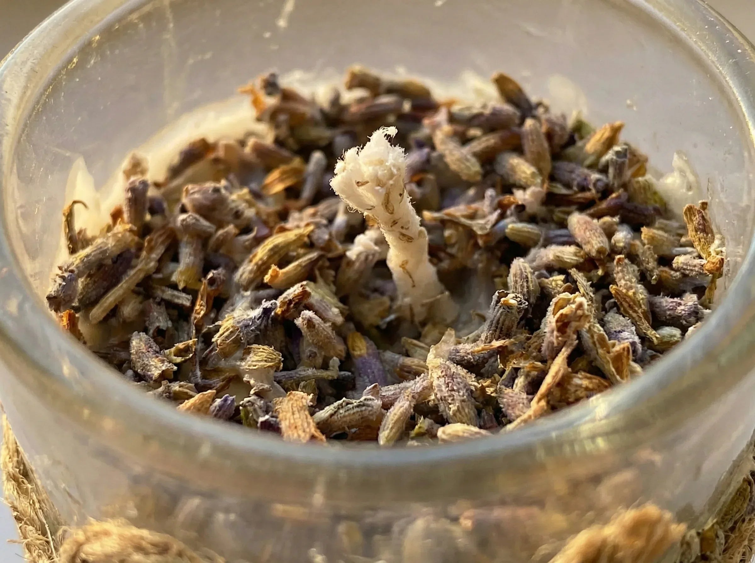 Bougie Lavande & Myrrhe - Paix Royale & Élévation - Essences Agape 8895471