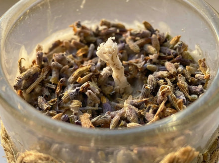 Bougie Lavande & Myrrhe - Paix Royale & Élévation - Essences Agape 8895471