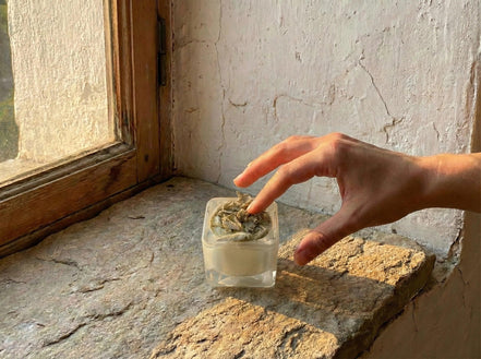 Bougie Verrine Sauge - Nettoyage Énergétique & Paix - Essences Agape 70083341