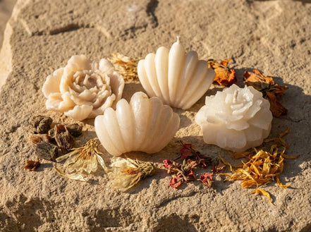 Bougie de Protection Musc & Cactus - Oasis de Sérénité - Essences Agape 7957529