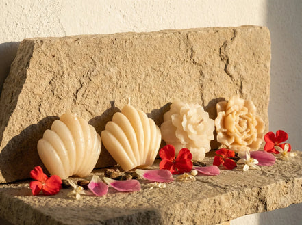 Bougie de Protection Musc & Cactus - Oasis de Sérénité - Essences Agape 7639910