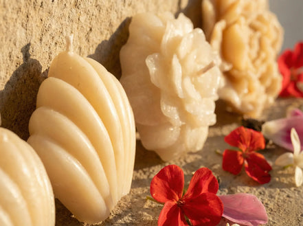 Bougie de Protection Musc & Cactus - Oasis de Sérénité - Essences Agape 90568315