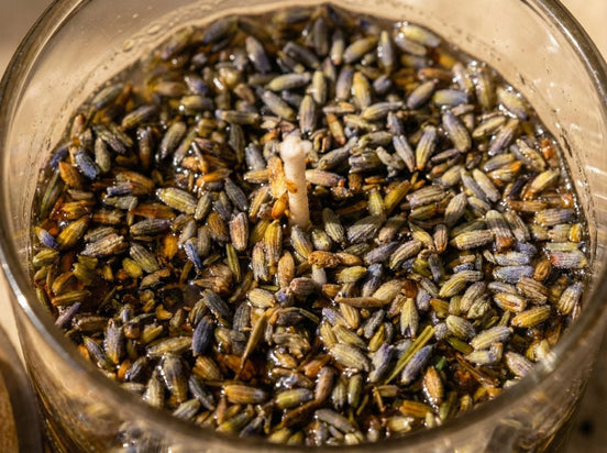 Bougie de Protection Oud & Sauge - Purification Royale - Essences Agape 14440620