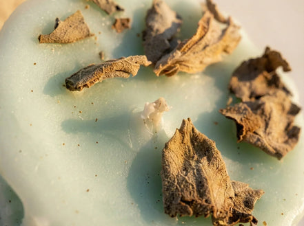 Bougie de Protection Sauge Purifiante - Nettoyage Énergétique - Essences Agape 15123009