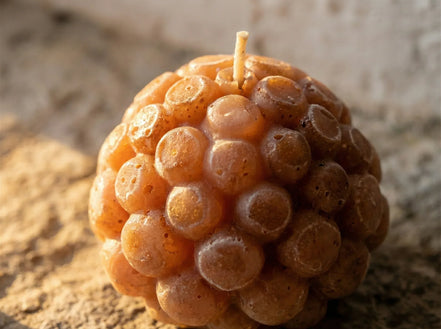 Coffret Palo Santo & Musc - Rituel de Purification et Ancrage - Essences Agape 25964057