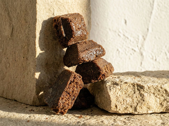 Encens Bakhoor Doukhoun Oud & Musc - Nuit Sacrée et Mystère Divin - Essences Agape 5718943