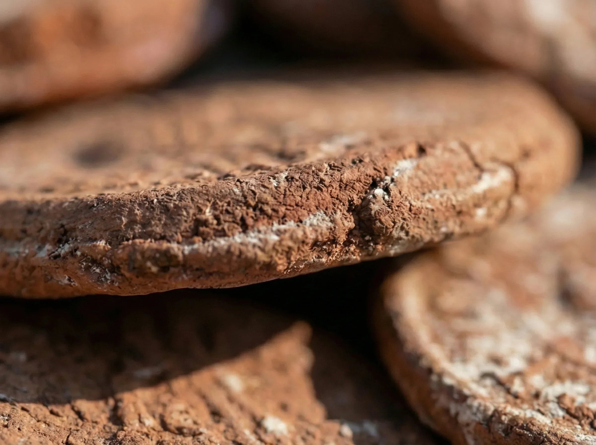 Monnaie romaine Terre Cuite - Ancrage & Mémoire Antique - Essences Agape 5642238